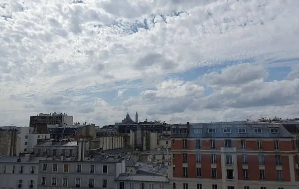 Appartement 1 pièce 24 m²