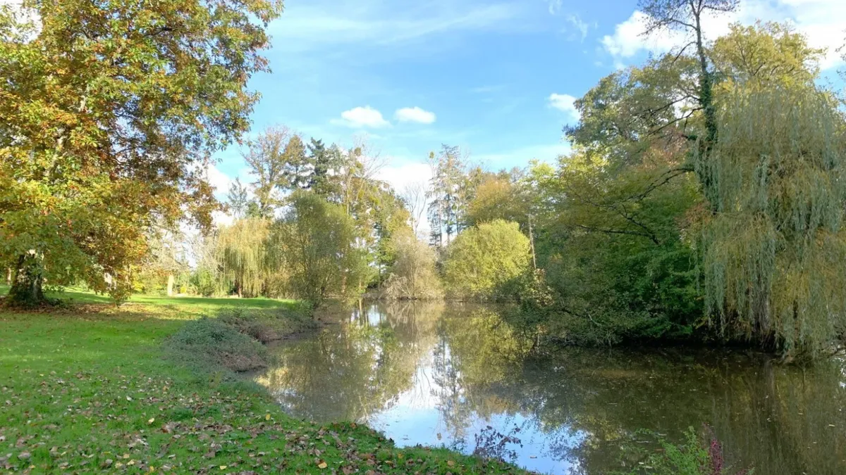 Photo 43