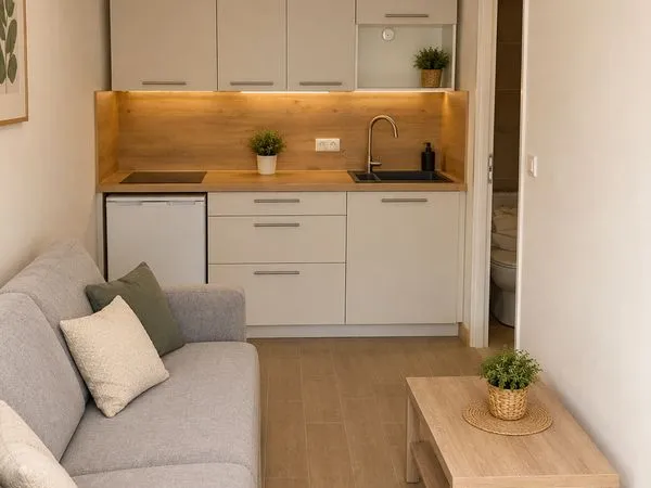 Bel appartement à louer, T2 meublé, entièrement rénové