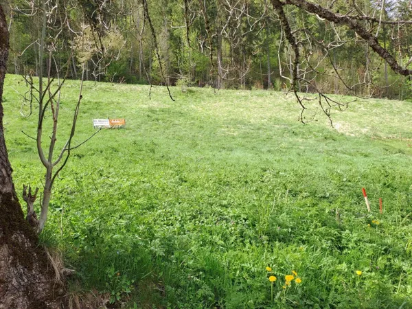 Terrain constructible 1151 m²