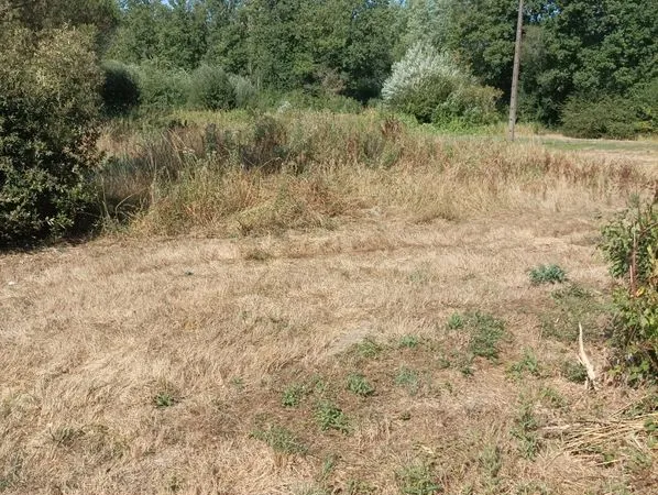 Terrain à louer