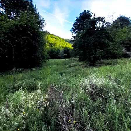 Terrain constructible 4400m2