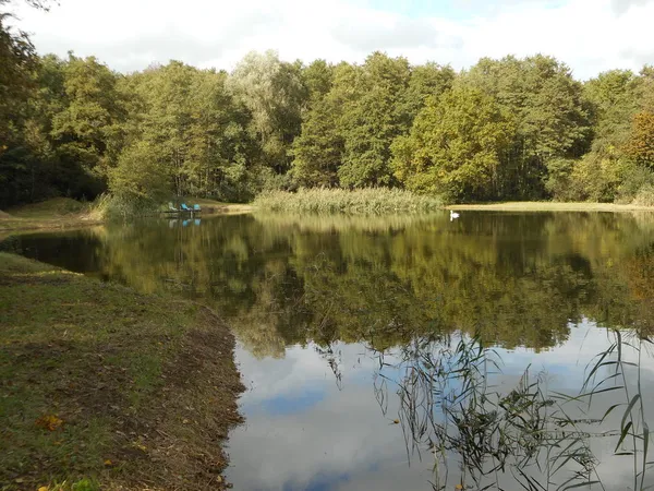 Etang de 65 ares avec petite foret sauvage sur 2.03 Ha