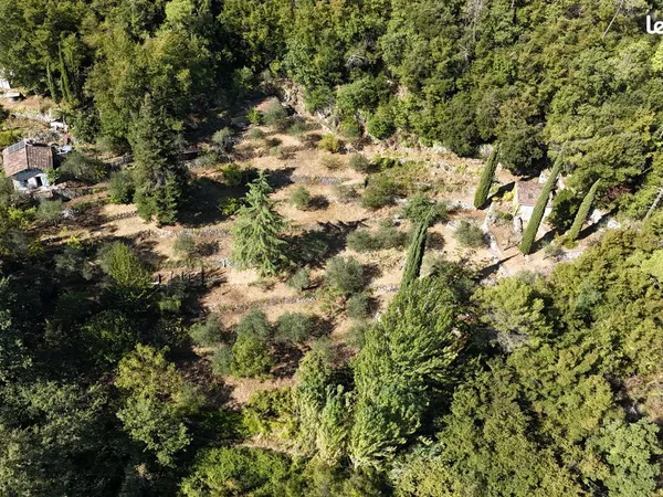 Terrain avec deux mazets, oliveraie et source - Collines niçoises / Mont Chauve