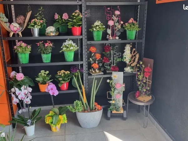 Vente Fonds de Commerce Fleuriste - Secteur Évian / Chablais