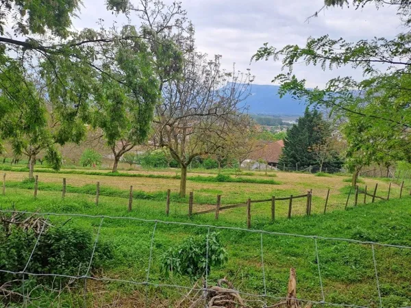 À Vendre Terrain Constructible 2493 m² TULLINS ( 38210 )