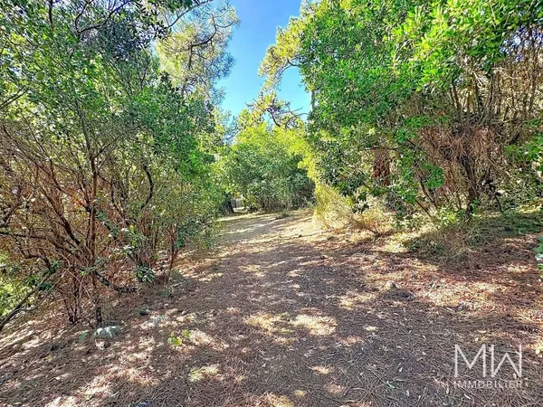 Terrain 1000 m²