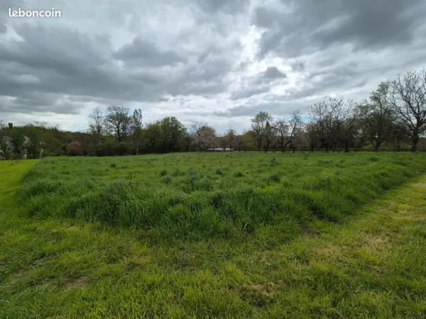 Terrain 1600 m² Treigny-Perreuse-Sainte-Colombe