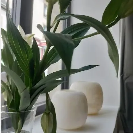 Location à l'année - Duplex 50m2 au pied du port