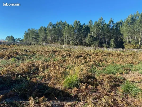 Superbe terrain constructible 970m2. Centre bourg. Au calme. Impasse. Vue forêt. Plage 3km