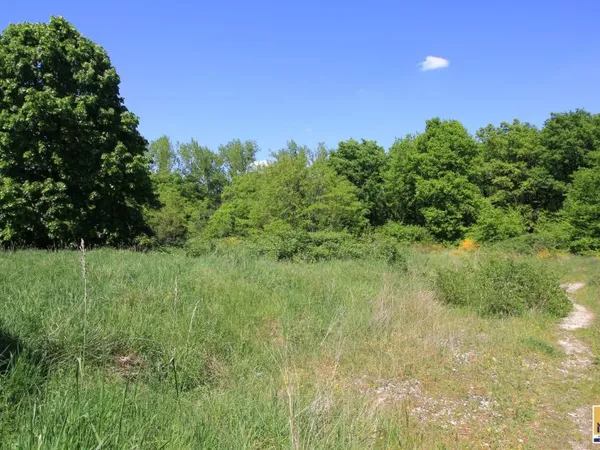 Terrain en individuel 20000 m²