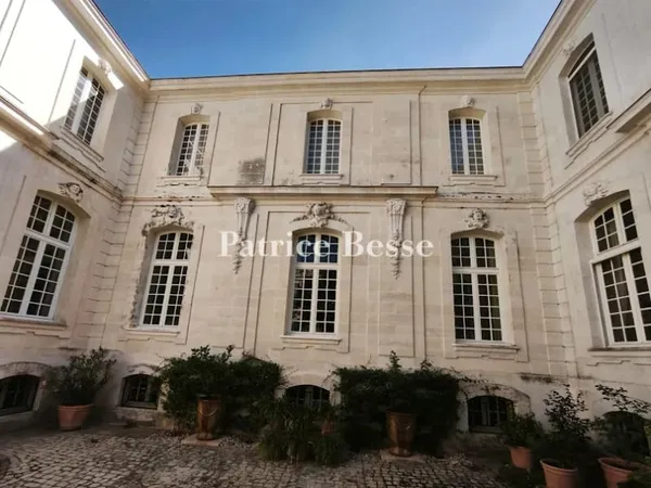 Hôtel particulier 14 pièces 715 m²