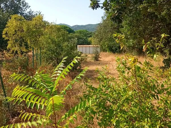 Terrain de loisirs
