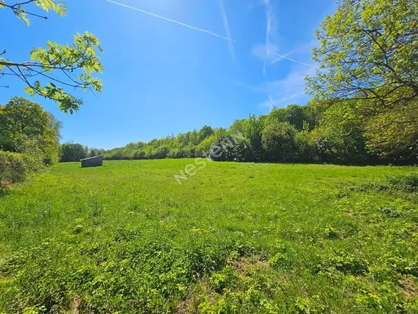 Terrain de loisir à Brignancourt - 4 393m² avec box existant et viabilisation possible