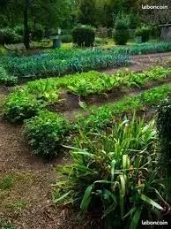Jardin potager location