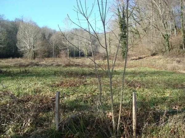 Terrain 101027 m²