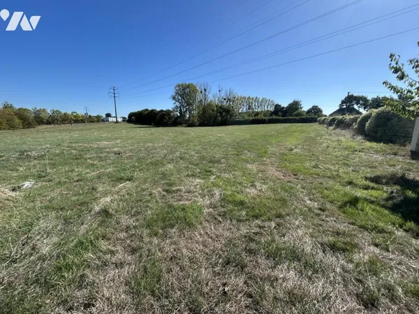 Terrain 54577 m²