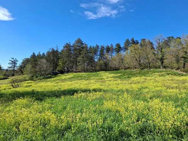Terrain à bâtir d'une superficie de 3 200 m²