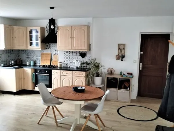 Lumineux t2 40 m2 centre vienne = 650