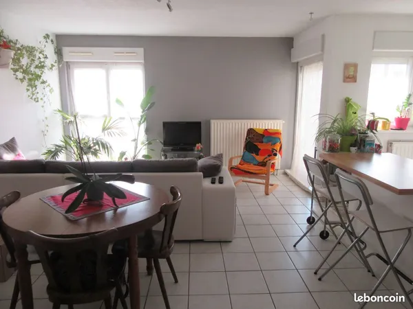 Bel appartement - T3 - 66 m² - proche tram