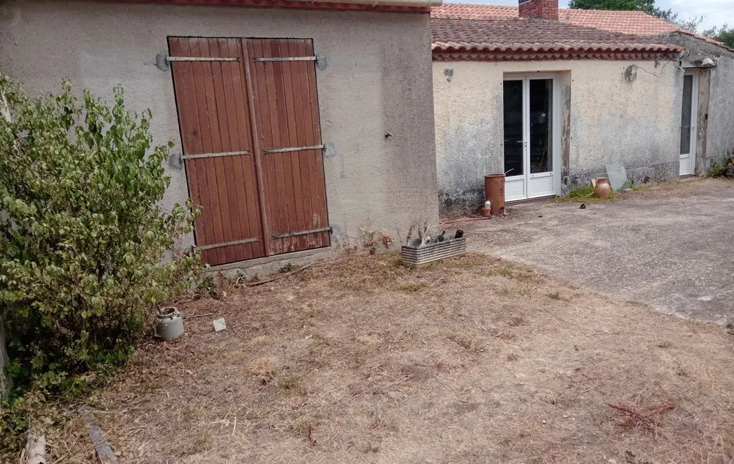 Photo 3