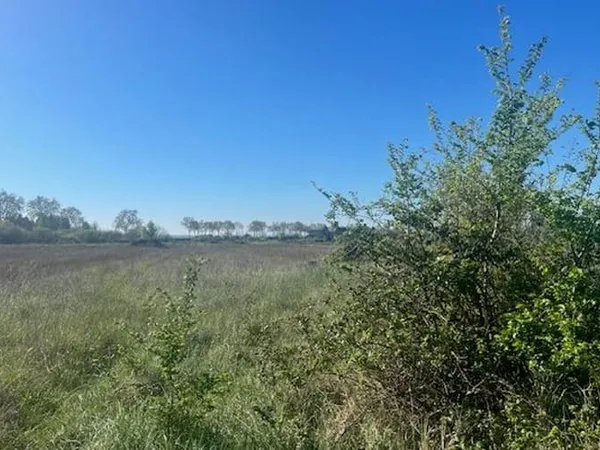 Terrain 8320 m²