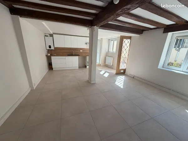 Maison T3 de plain-pied rénovée avec extérieur privatif et garage - Orléans Rue du Faubourg Bannier