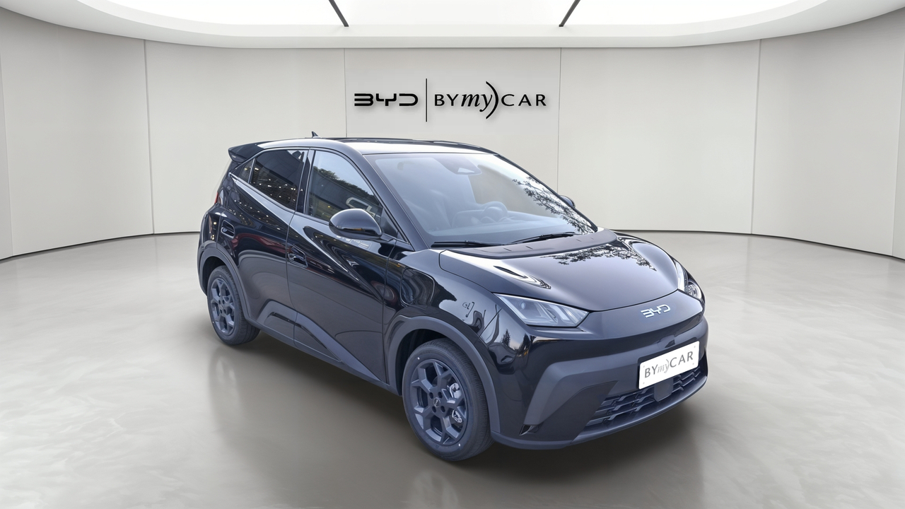 BYD Dolphin Surf 43.2 kWh 156 ch — photo 7