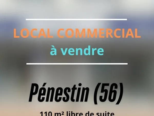 Immobilier Professionnel à vendre Pénestin