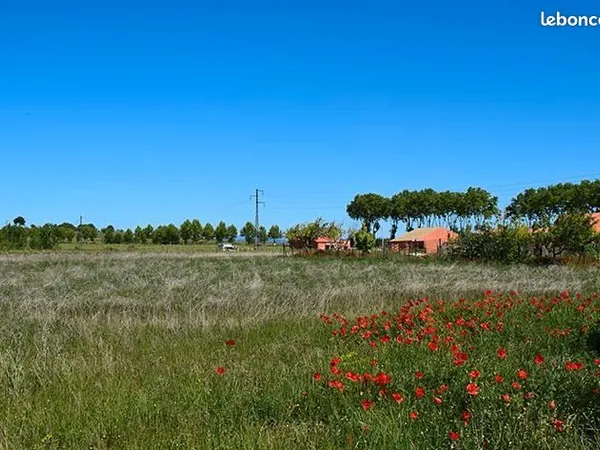 Terrain 260 m² Maraussan