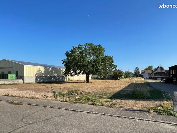 Terrain 545 m2 Blodelsheim
