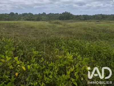 Vente Terrain à bâtir 10 000 m²