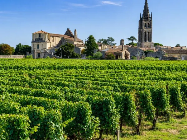 Propriété viticole en appelation Saint Émilion et Saint Émilion Grand Cru