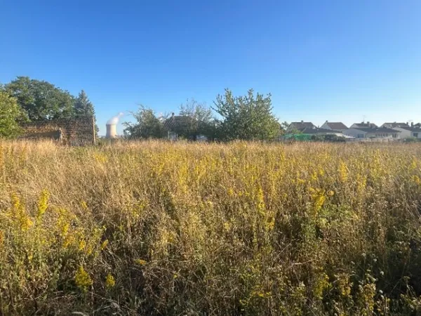 Terrain 235 m²