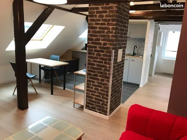 F2 meublé 55m2 au sol, 40m2 carrez