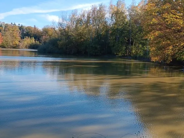Bel étang bordé partiellement de forêt, Réchesy
