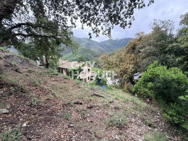 Maison et villa de prestige Vente Arles-sur-Tech 5p 131m² 199000€