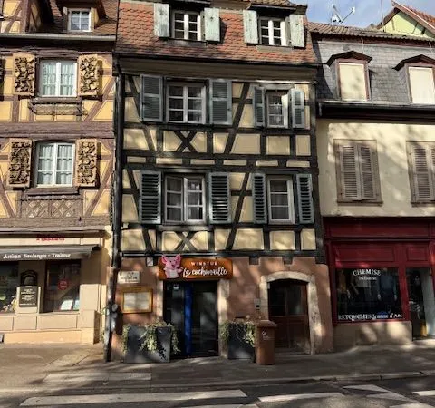 Colmar centre charmant duplex