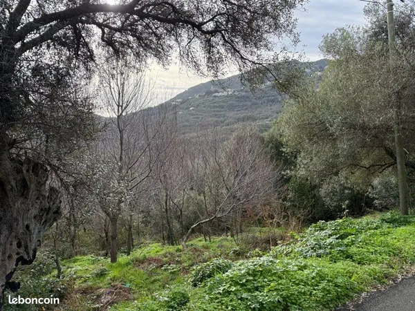 À vendre terrain Santa Maria di Lota