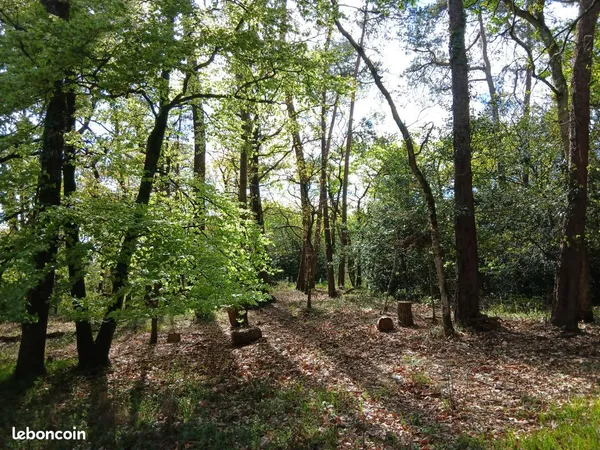 Location terrain bois Brocéliande