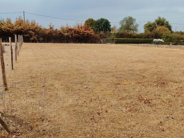 Terrain agricole 1300m2