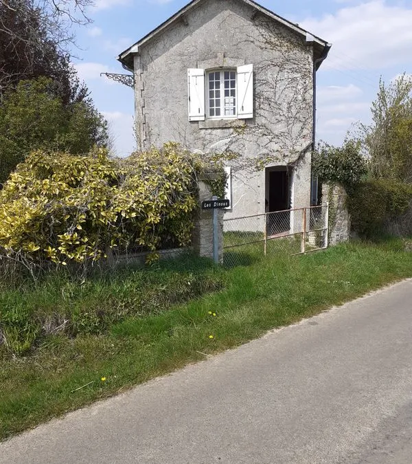 Photo 1