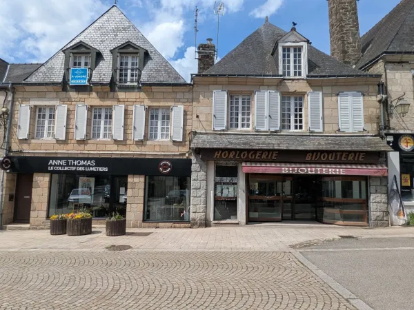 Immeuble de rapport 11 pièces 300 m²