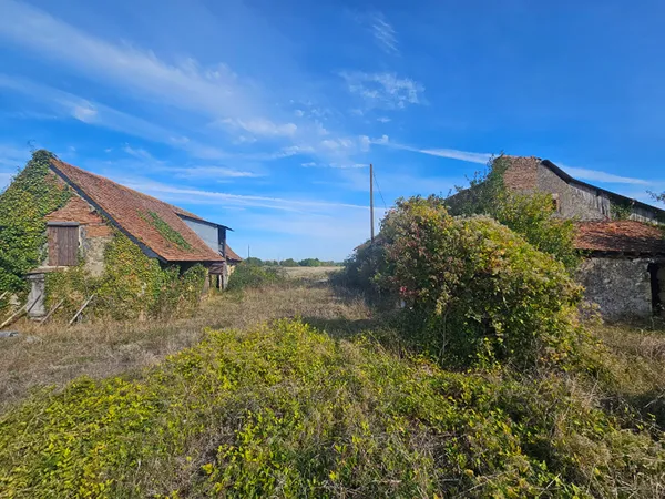 CHEVIRÉ-LE-ROUGE ? UN PROJET DE RÉNOVATION POUR LES PASSIONNÉS DE TRAVAUX !