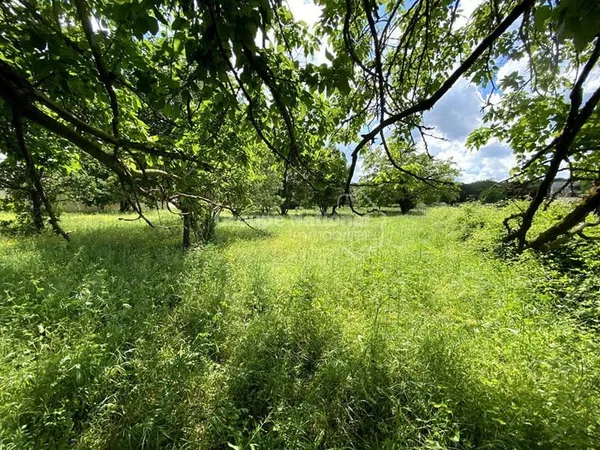 Terrain constructible 3166 m²