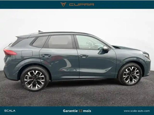 Cupra Terramar 1.5 ehybrid 204 ch dsg6 — photo 6
