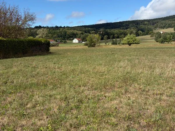 Terrain constructible