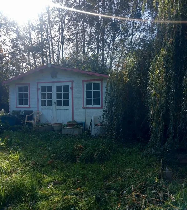 Photo 2