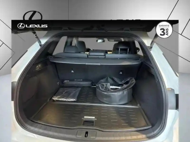 Lexus Rx 450h+ f sport design 4wd phev spor — photo 10