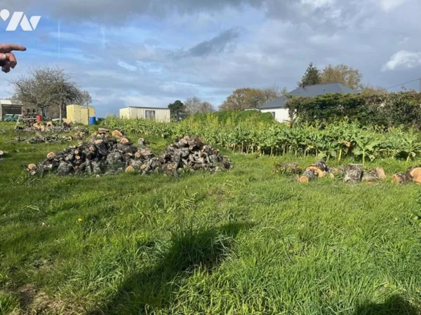 Terrain 614 m²
